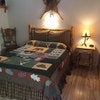 Denali Fireside Cabins & Suites
