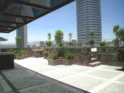 Suites Capri - Reforma 410