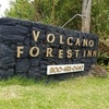 Volcano Forest Inn