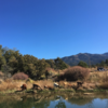 Taos Goji Eco Lodge & Farm Reetreat