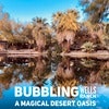 Bubbling Wells Oasis