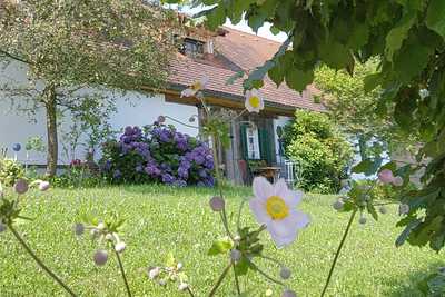 LH Katrin Grandl EMEA