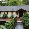 Pinetum Gardens