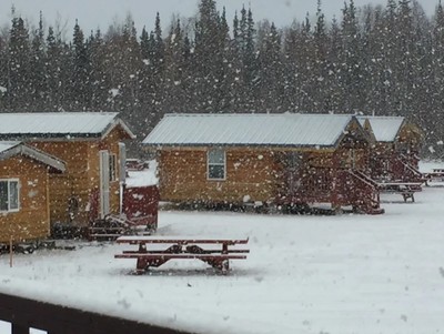Alaska Log Cabins On The Pond B & B