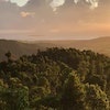 Serenity Rainforest Retreat