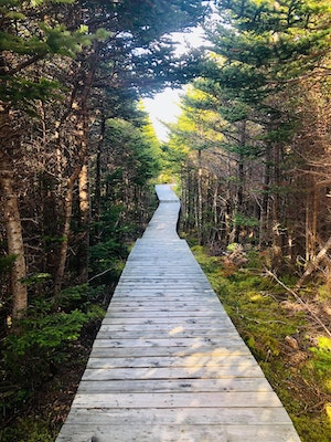 The Southern Port Hotel & Chalets