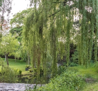 Stanton House Christian Retreat