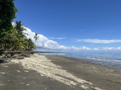 Perla Pacifico