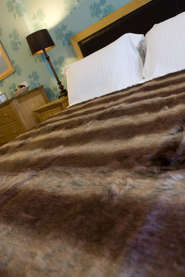 Room 1 - Standard Rate