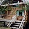 Wooded View Cabin  #6