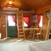Cabin #12
