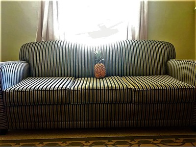 Pineapple Suite 3 Rate