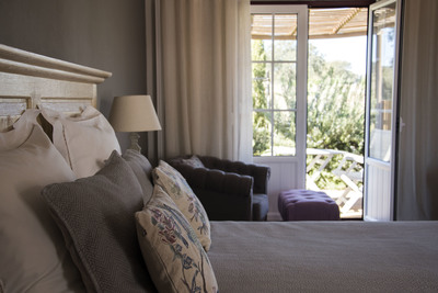 Jr. Suite Standard Rate