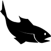 Sportfish Guest Standard