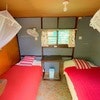 Guava - Double Backpacker Dorm - Standard Rate