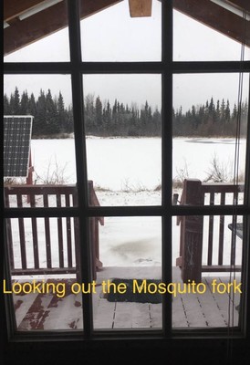 Mosquito Fork Standard