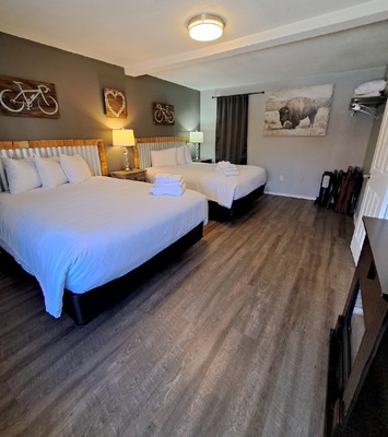 Signature 2 Queen DOG FRIENDLY Suite + Sleeper + Kitchenette