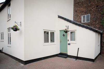 Cottage Violet Standard