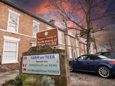 Cottage Violet Standard