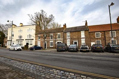 Cottage Violet Standard