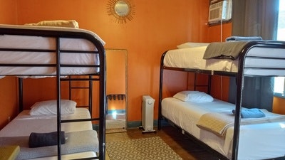 Dorm: 4-Bed Mixed Standard