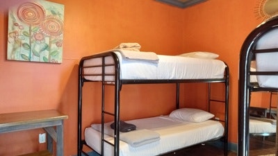 Dorm: 4-Bed Mixed Standard